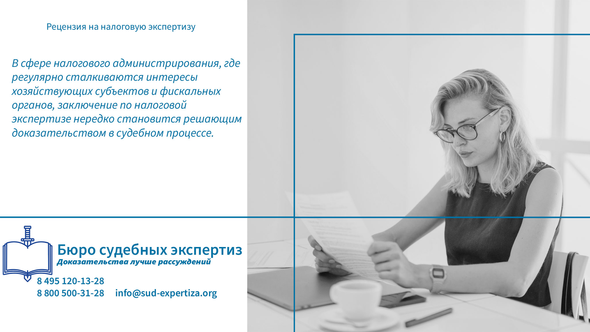 Рецензия на налоговую экспертизу. Процессуальные тонкости представления рецензии.
